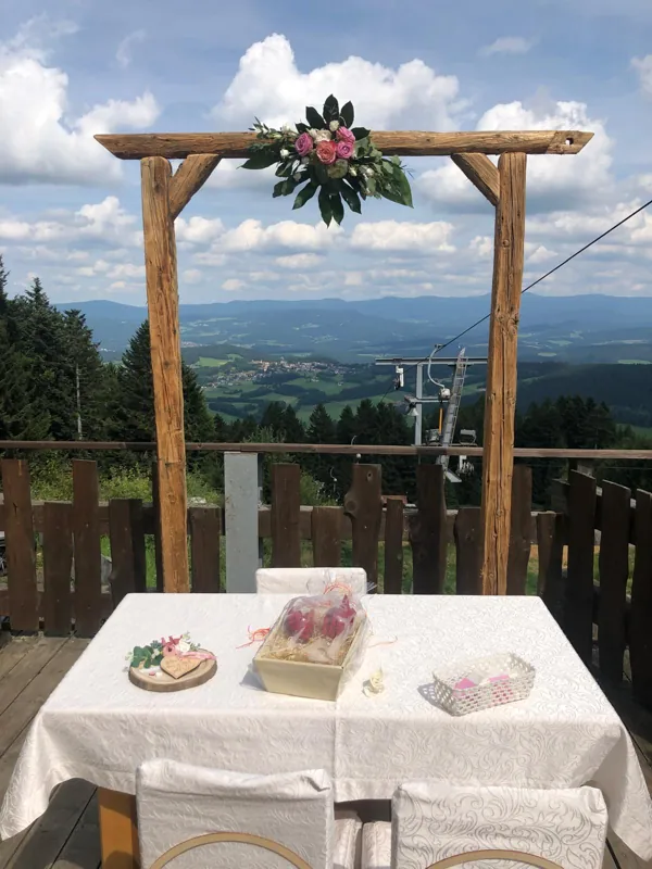Traubogen unter freiem Himmel mit Blick in die Landschaft